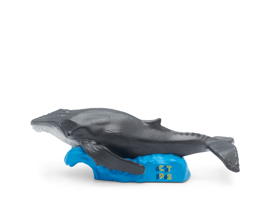 national geographic kids 7 tonies set