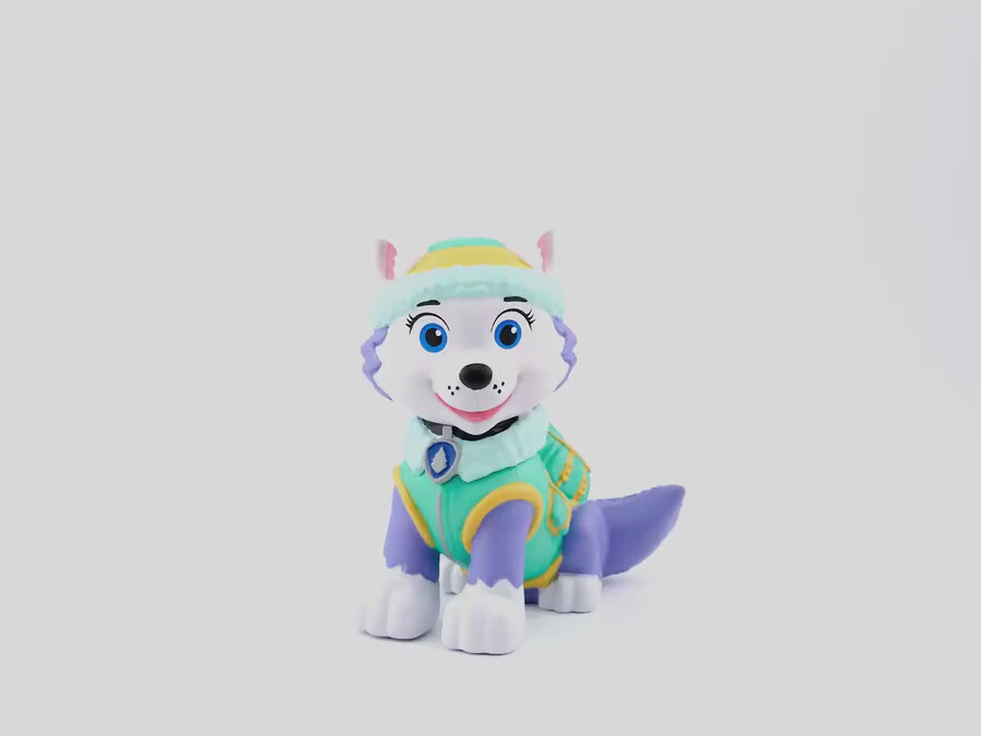 paw patrol everest tonie