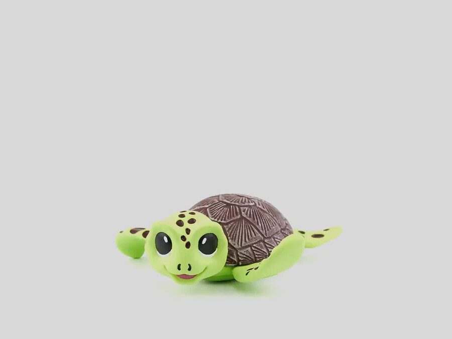 natuurbeschermingsteam bobby de zeeschildpad tonie